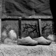 Image for article titled More than just their feet: powerful photos of China’s last female foot binders